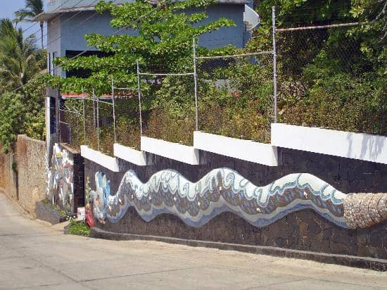 Dolores Olmedo's Historic Studio