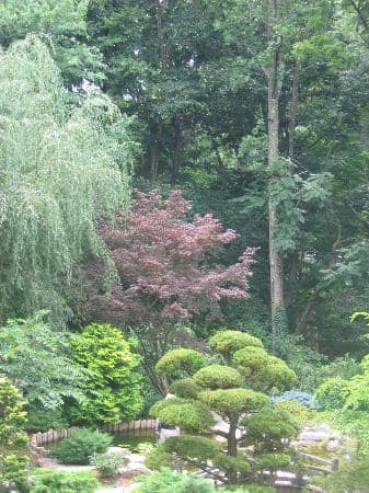 French Formal Garden