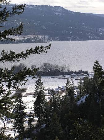 Fintry Estate