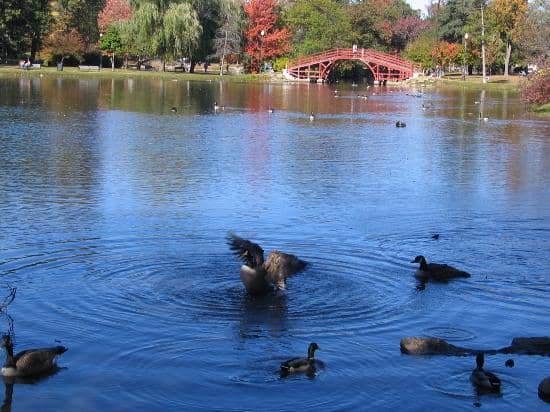 Children's Playground