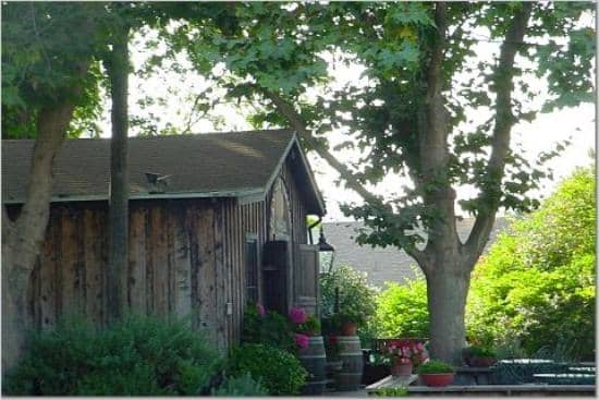 Authentic Winery Atmosphere