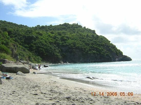Kid-Friendly Shell Combing