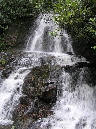 Vertical photo