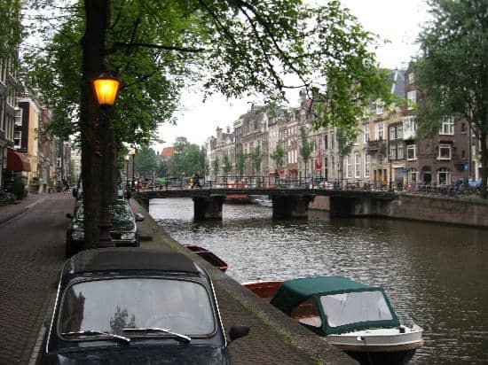 KattenKabinet (Cat Cabinet)