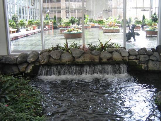 Tropical Oasis