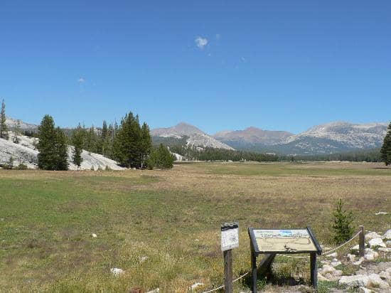 Glen Aulin Trail