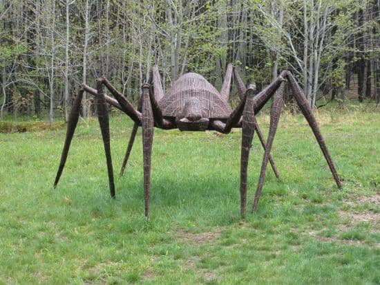 Forest Trails & Hidden Gems