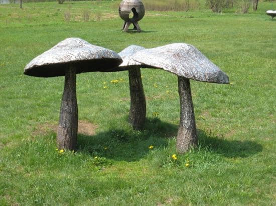 Open Fields & Panoramic Views