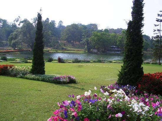 Wooden Watchtower Views