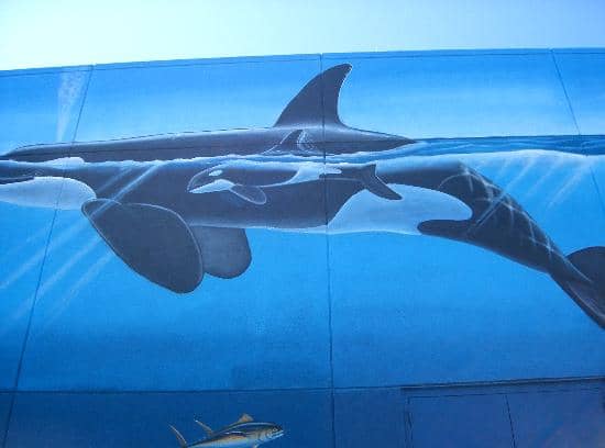 Wyland Whaling Wall