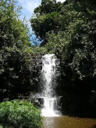 Secluded Waterfalls and Pools