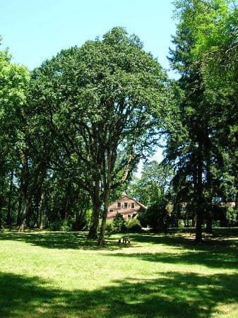 Nature Trails & Birding