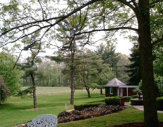 The Farm Grounds