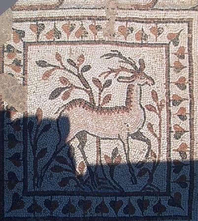 Roman Baths and Basilicas
