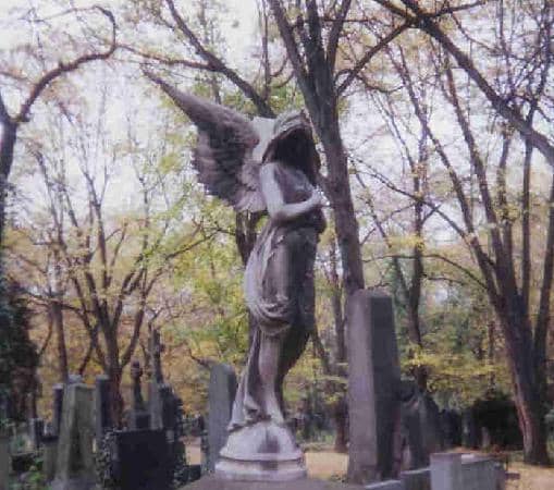 The Grandeur of Olšany