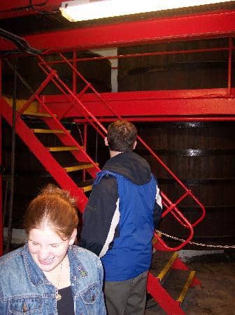 The Barrel Store Experience