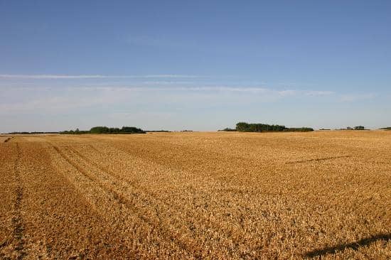 Habitat Conservation Area