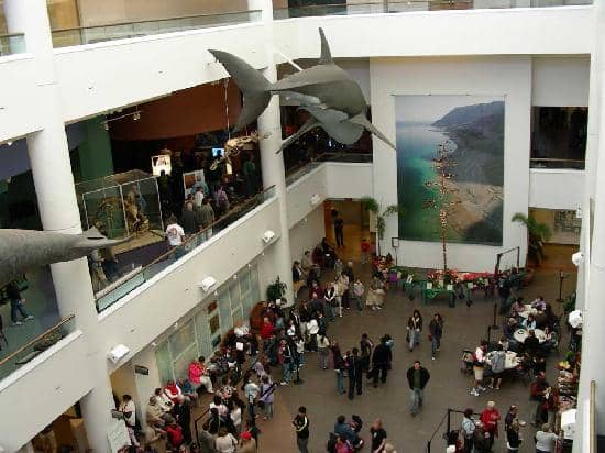 Amazement in the Basement