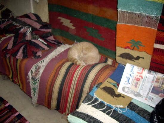 Colorful Quilts and Wall Hangings