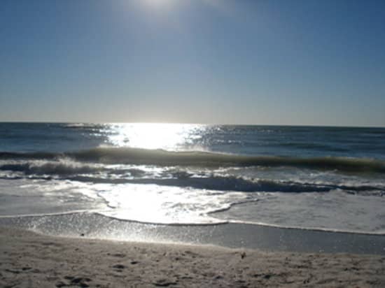 Shelling Paradise