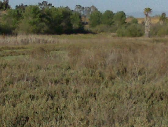 Nature Trails