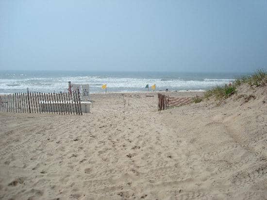 Ocean Views & Sounds