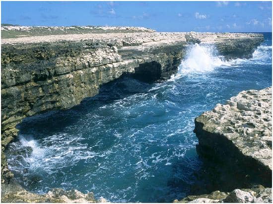 Sunrise/Sunset Views