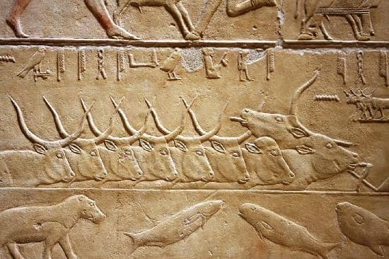 Vibrant Wall Carvings