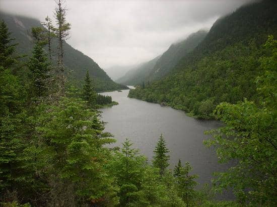 Panoramic Gorge Views