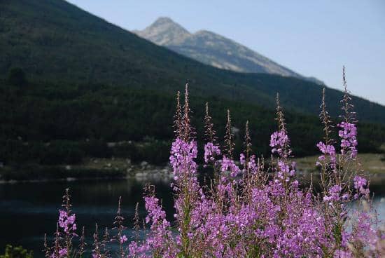 Koncheto Ridge