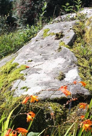 Foundation of Westport Stories