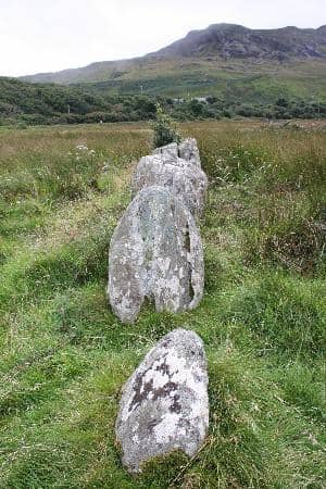 Passionate Volunteer Guides