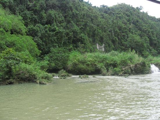 Live Music & Cultural Performances