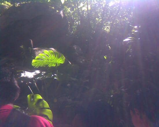 Fauna Encounters