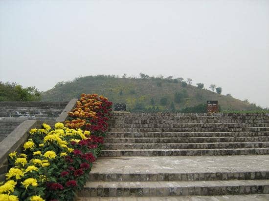Vertical photo