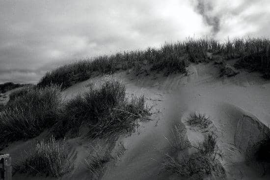 Scenic Coastal Trails