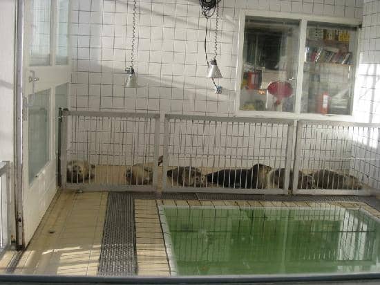 Interactive Educational Exhibits