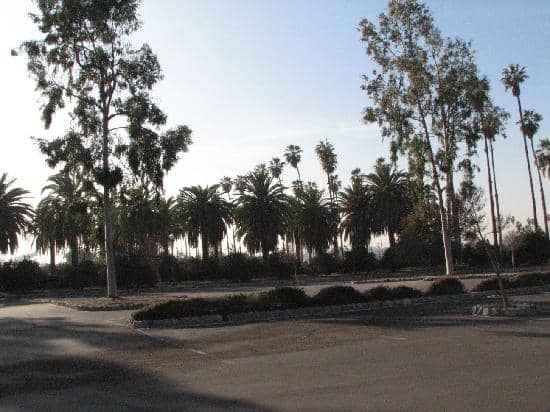 Fresh Squeezed Orange Juice Stand