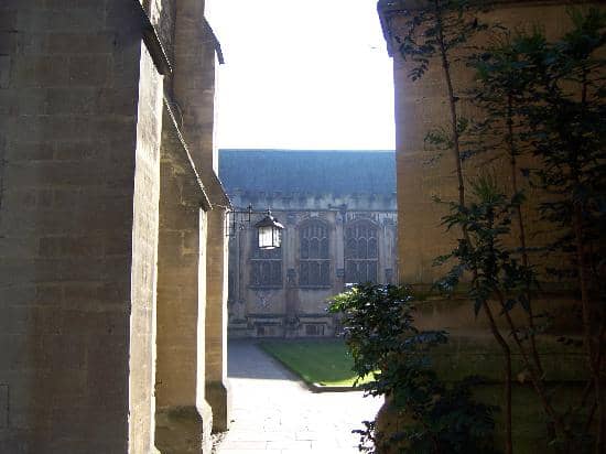 The Fellows' Garden