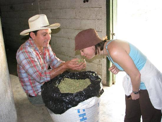Relaxing Natural Springs