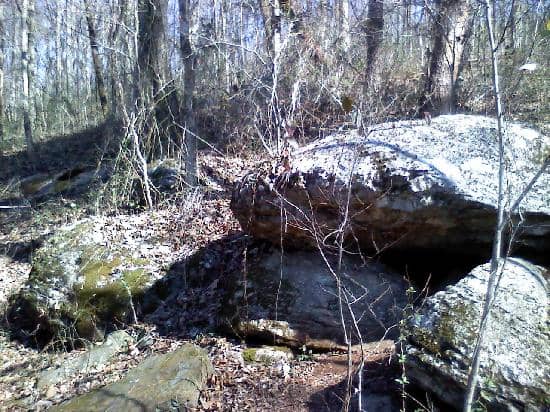 Trillium Trail