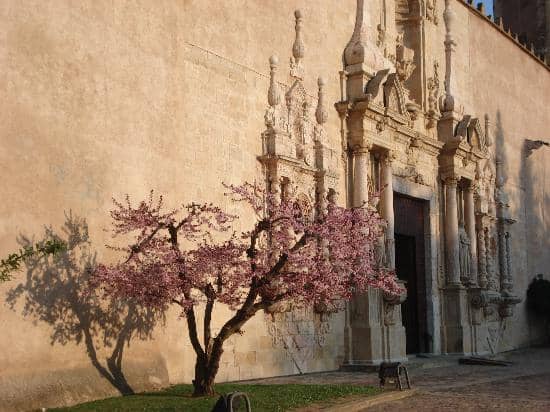 Romanesque Cloisters