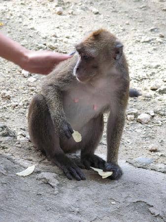 360-Degree Photo Opportunities