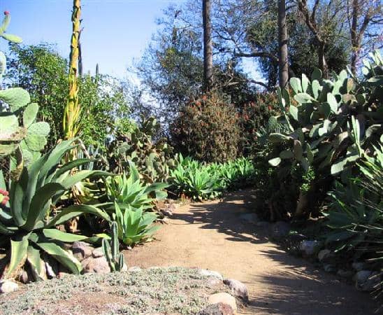 Tongva History
