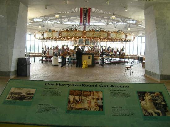 Natural History Collections