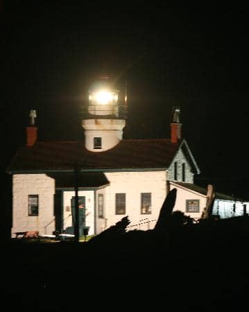 Low Tide Island Walk