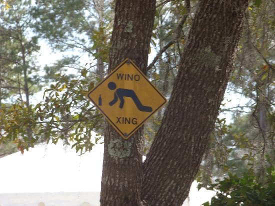 Live Music Festivals