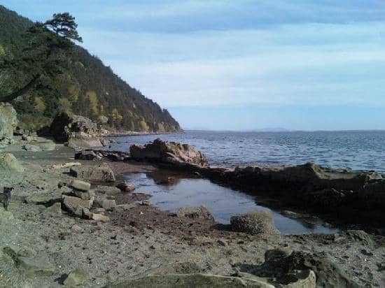Tide Pooling & Rock Formations (WA)