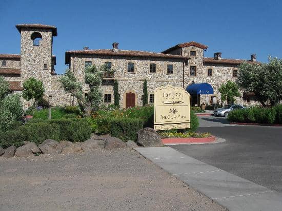 Wine & Olive Oil Tastings