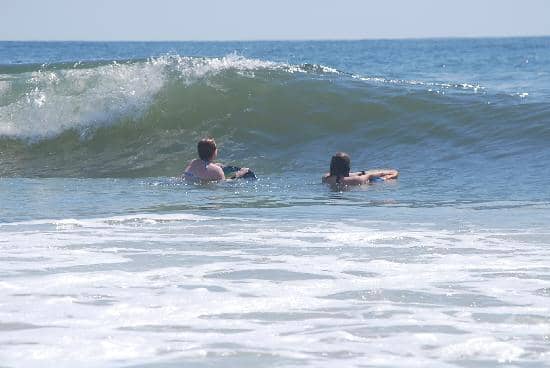 Birdwatching Paradise